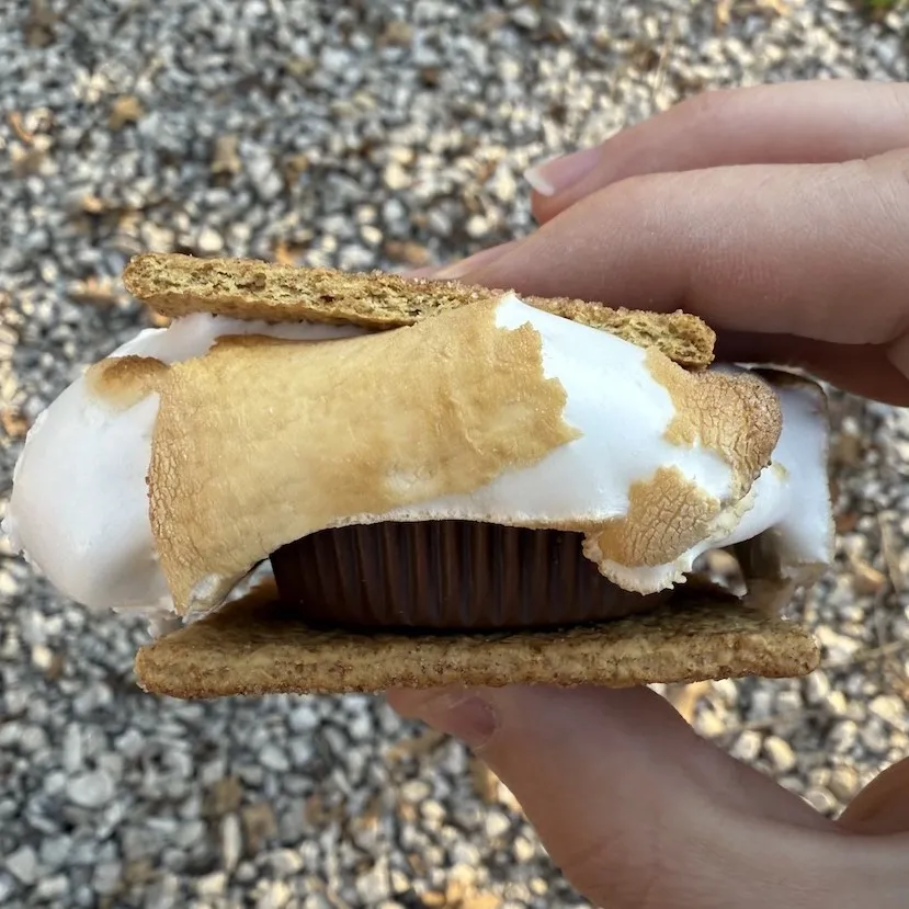 graham cracker s&#x27;more